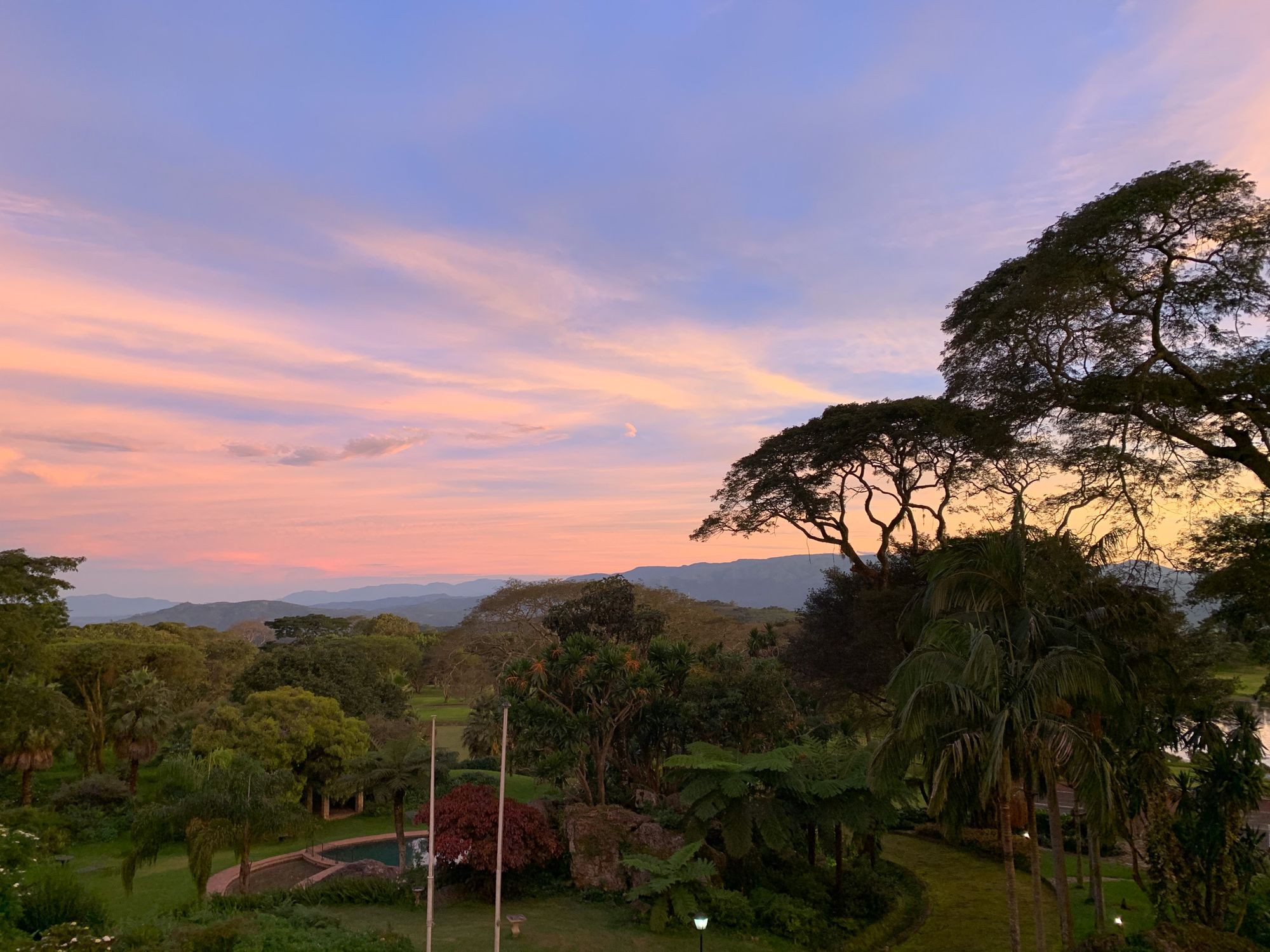 Sunset over the game park